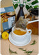 Sticky Image